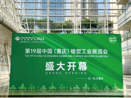 第19届中国(重庆)橡塑工业展览会 (14)